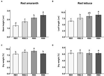 Light manipulation as a route to enhancement of antioxidant properties in red amaranth and red lettuce